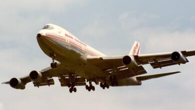 DGCA suspends license of AI pilot, co-pilot for allowing woman inside cockpit