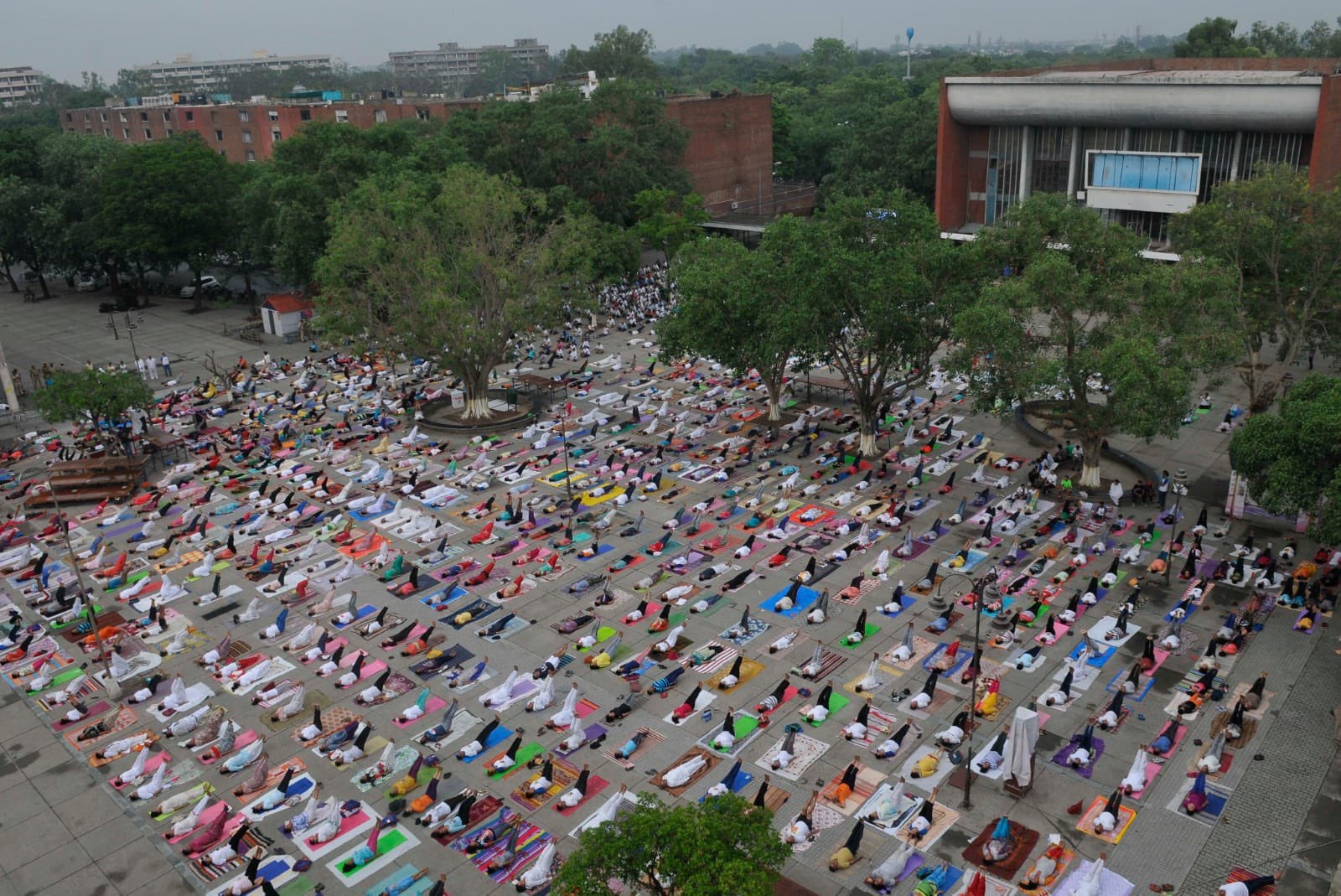 Let Chandigarh essence inspire through yoga: British diplomat Let Chandigarh essence inspire through yoga: British diplomat