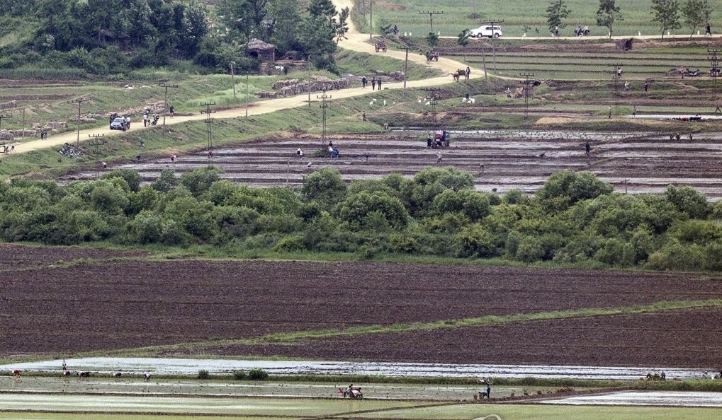 N.Korea’s food prices rise, suggesting supply shortages