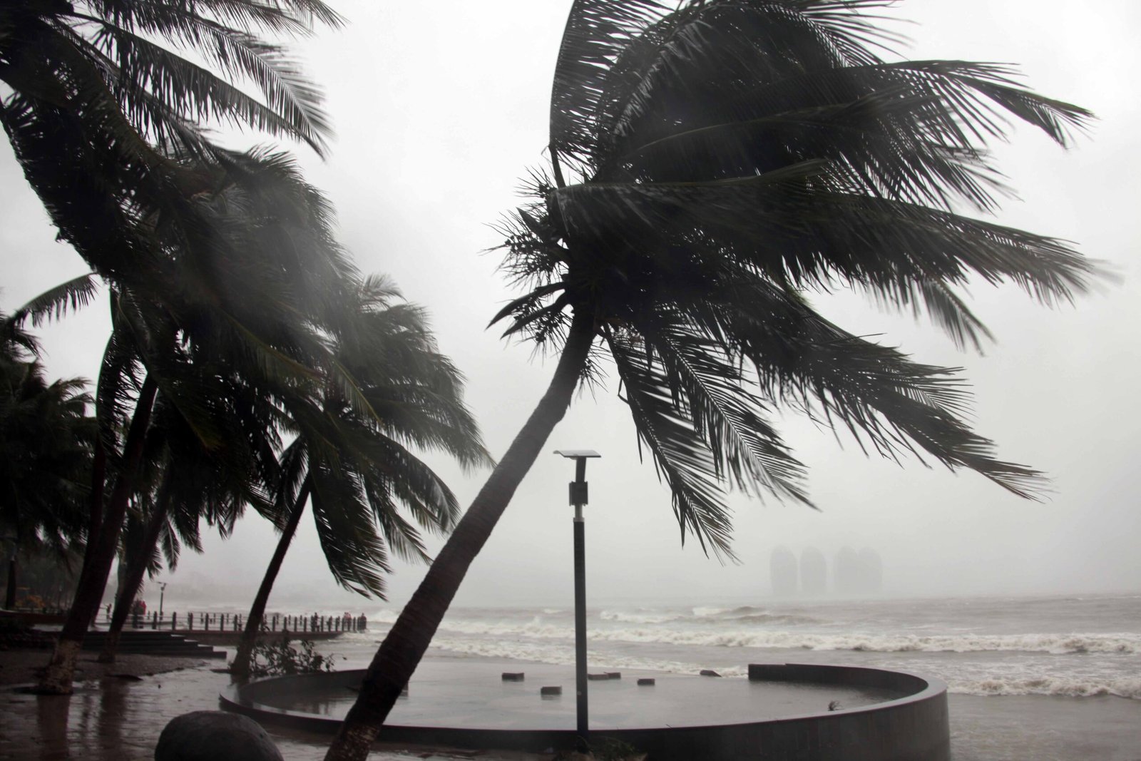 South China on guard as typhoon Talim nears South China on guard as typhoon Talim nears