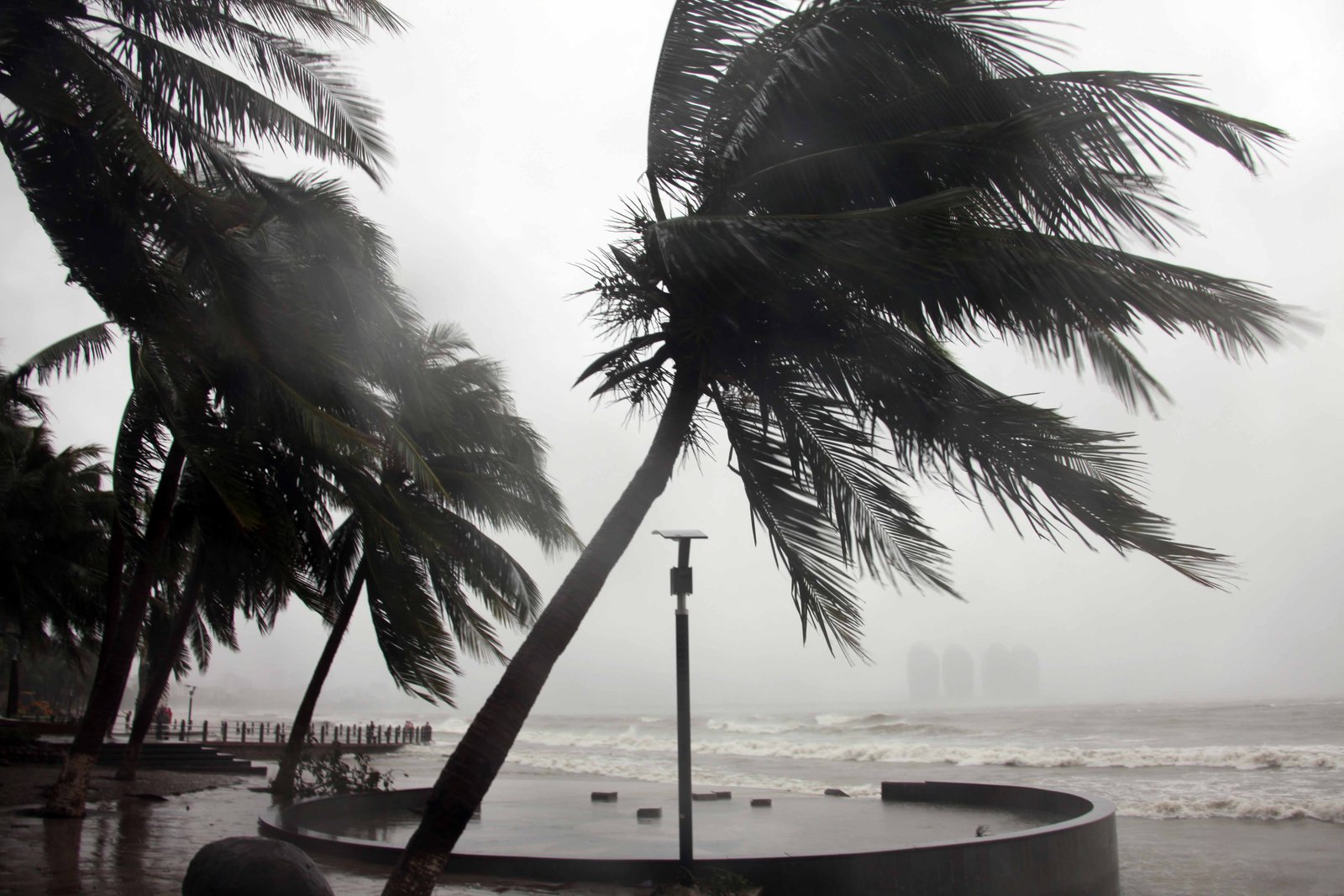 South China on guard as typhoon Talim nears 1 001f8f4c5644feed6ca1e432b8bbf14c