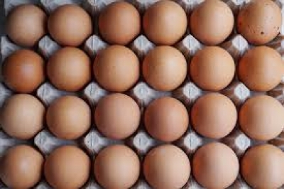 Five held for stealing eggs worth Rs 5.5 lakhs Five held for stealing eggs worth Rs 5.5 lakhs
