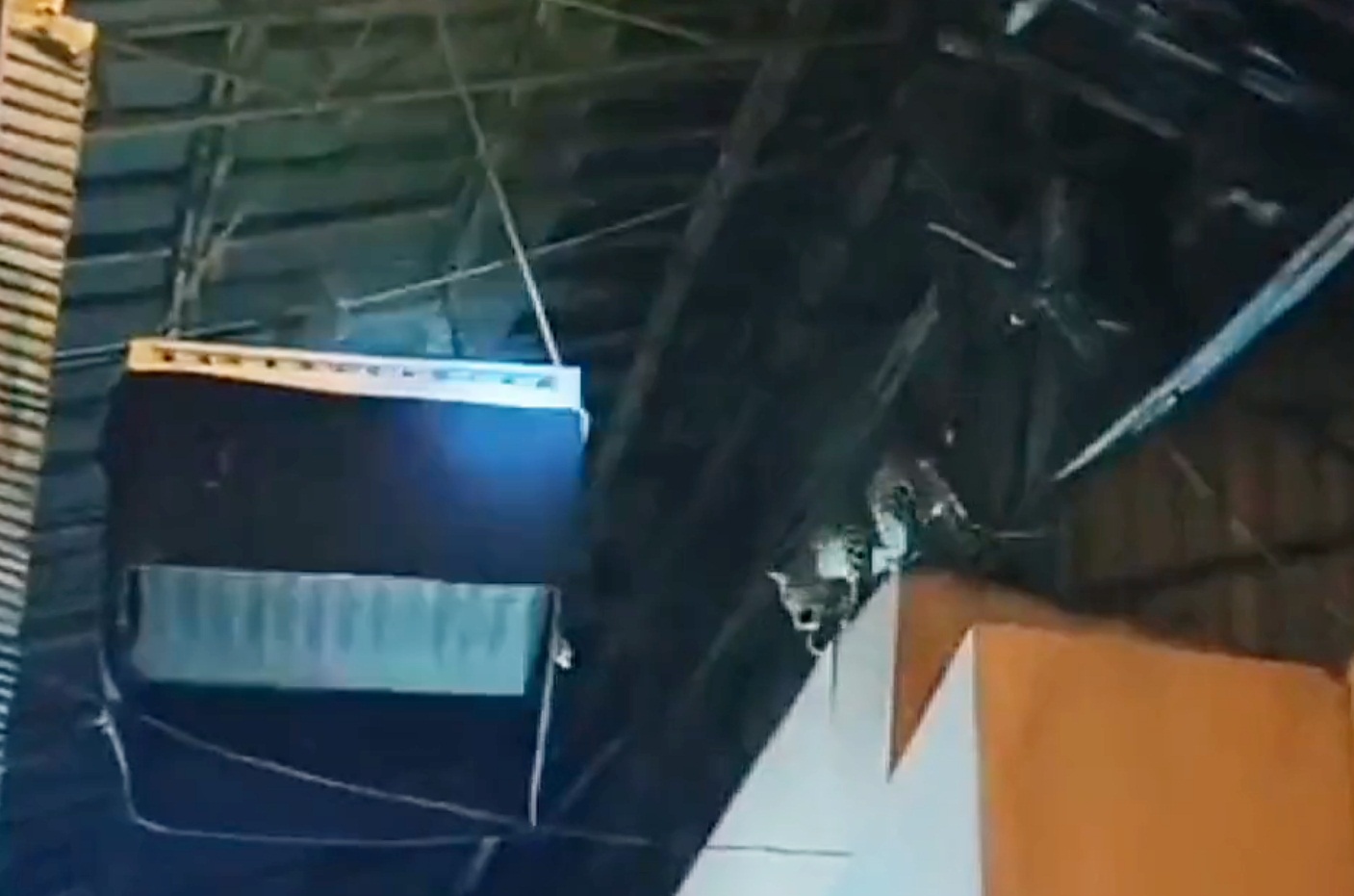 Leopard drops in on tele-serial set in Film City, scoots with a dog