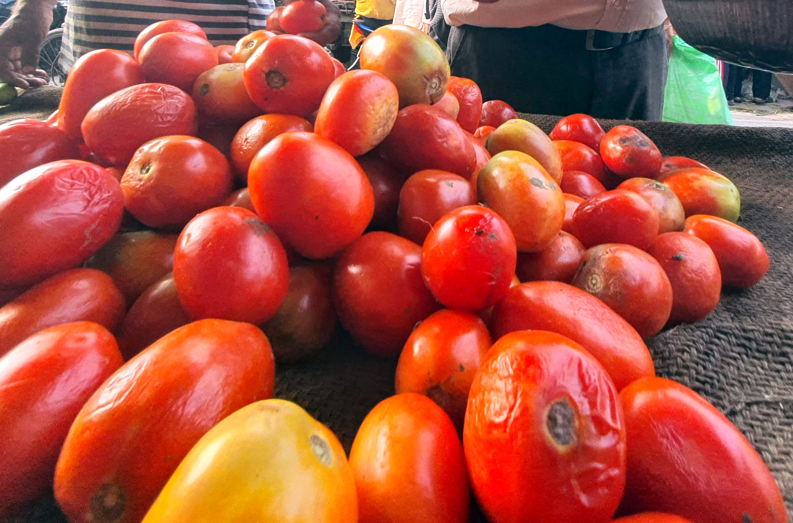 Vehicle transporting tomatoes to market robbed in B’luru Vehicle transporting tomatoes to market robbed in B’luru