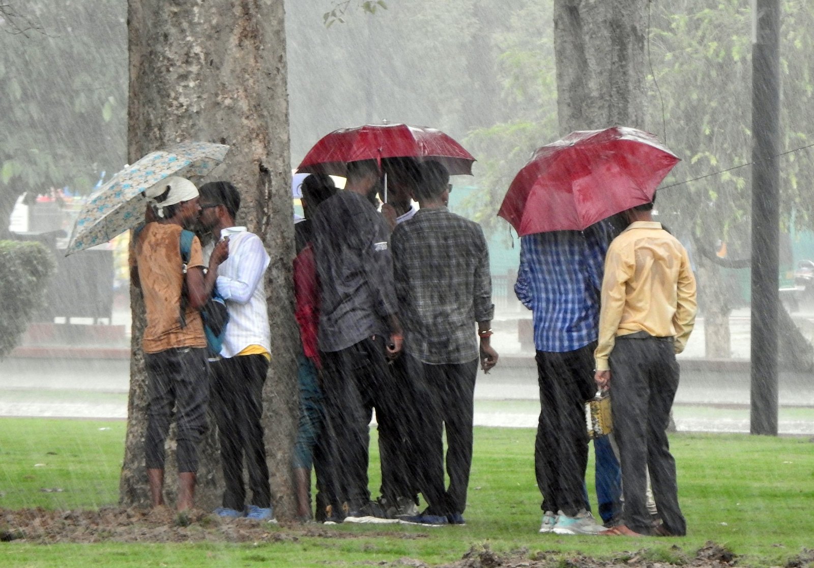 IMD predicts heavy rainfall in eastern, NE states IMD predicts heavy rainfall in eastern, NE states