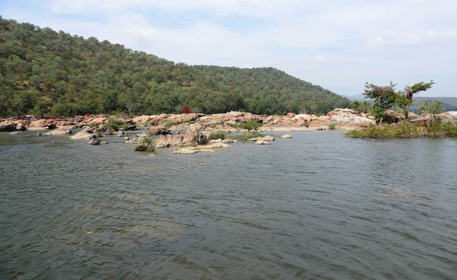 TN appeals to Cauvery Water Management Authority on reduced release of water by K’taka