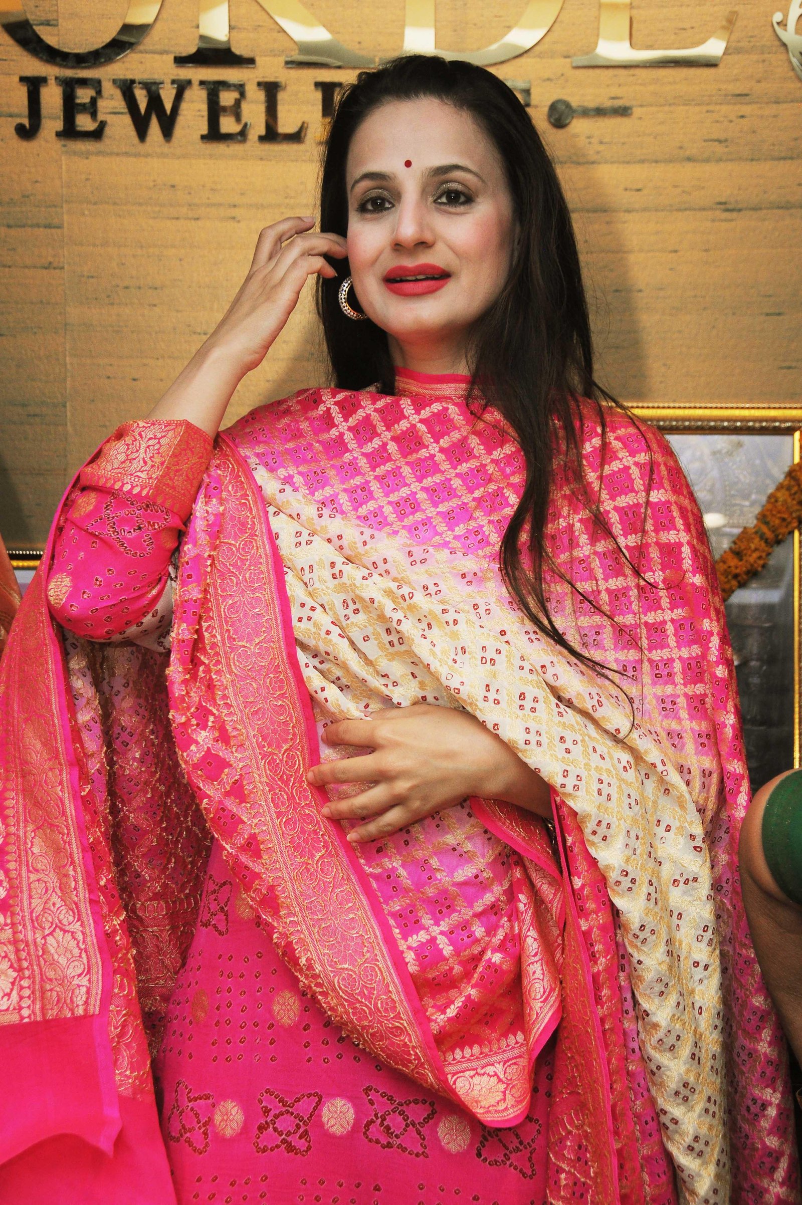 Ameesha reveals flip side on having a blockbuster like 'Gadar' in filmography 1 4f88590ede5901311b4bad1ba3a731d9 1