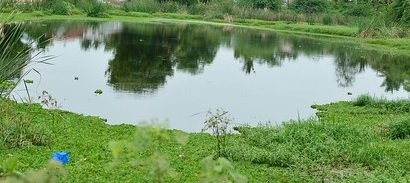 TN’s Tirupattur eyes world record for digging 1556 farm ponds in 30 days