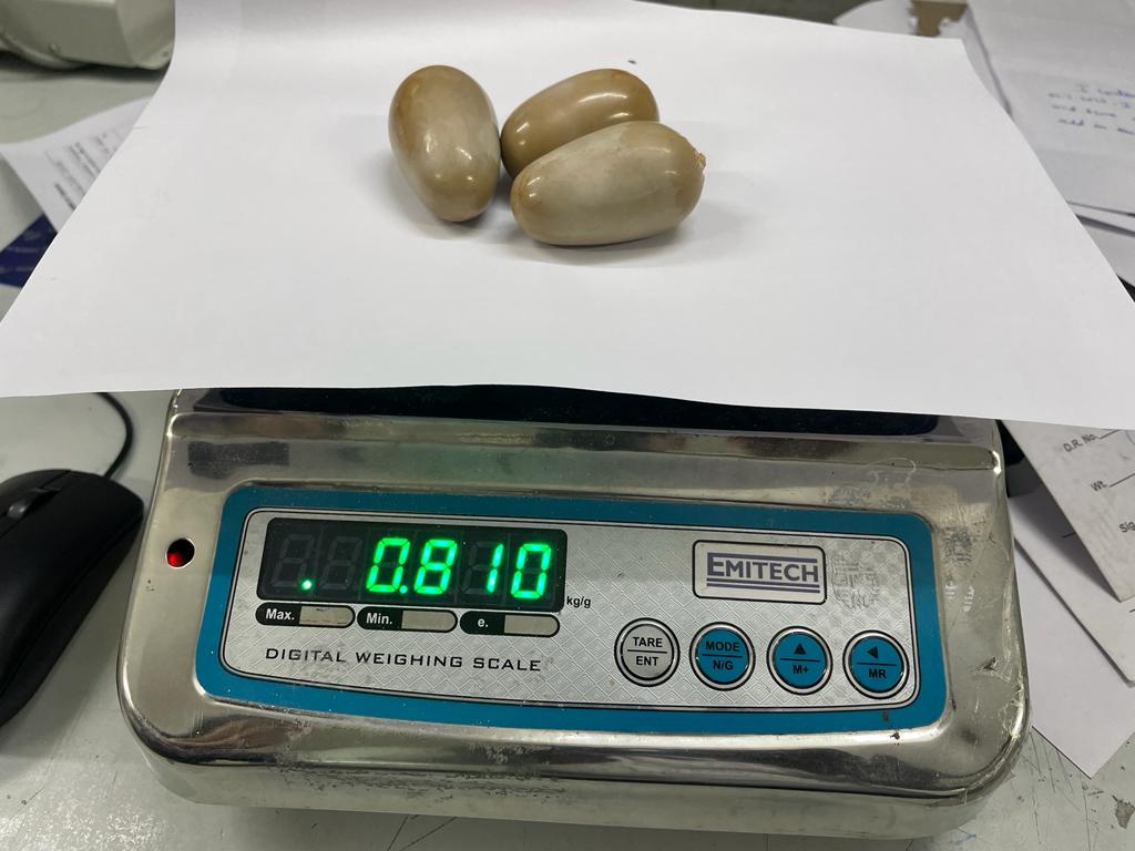 CISF nabs 2 at IGI airport with gold valued at Rs 50L CISF nabs 2 at IGI airport with gold valued at Rs 50L