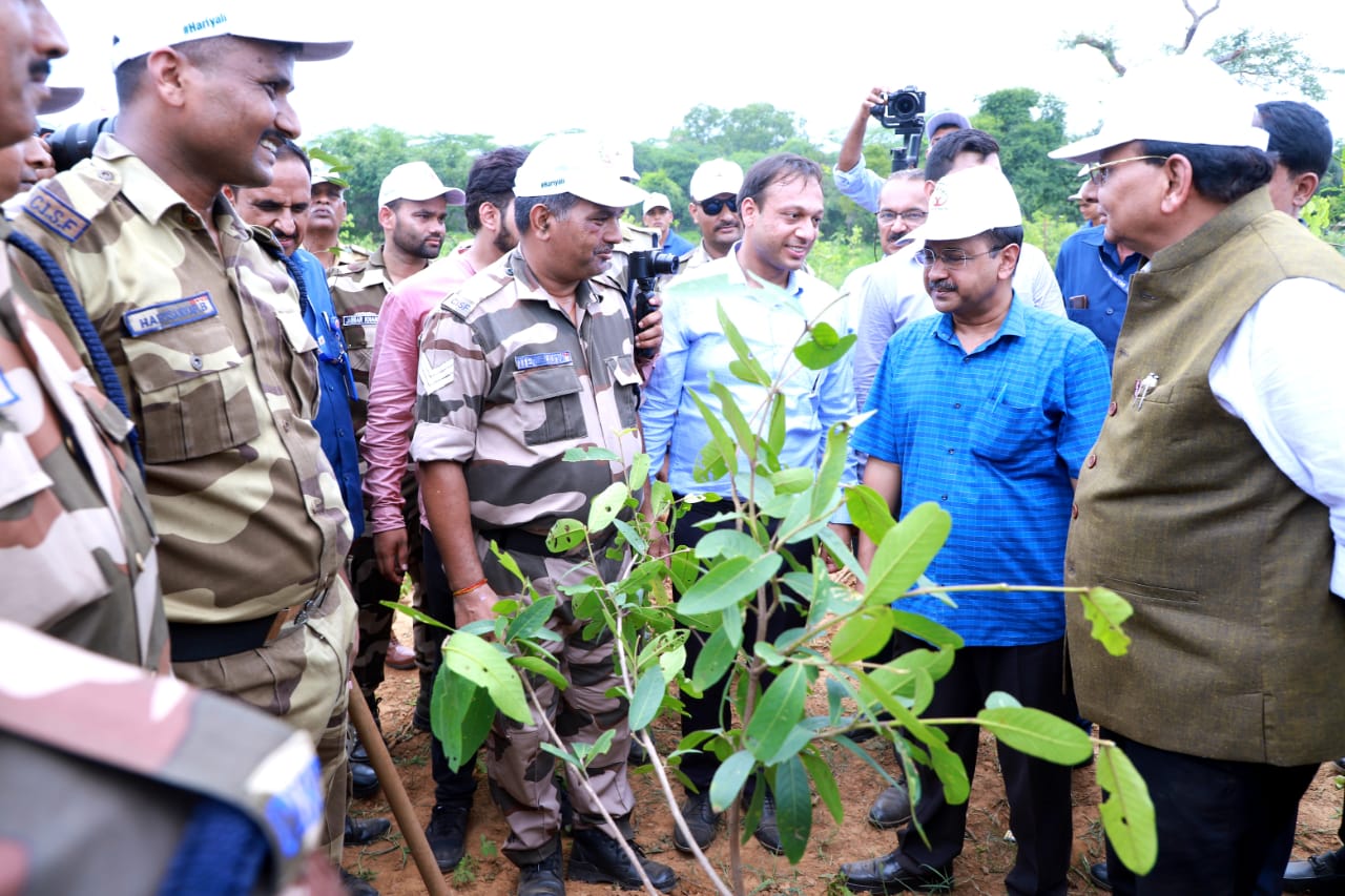 5.55 L saplings planted during Van Mahotsav in Delhi: L-G