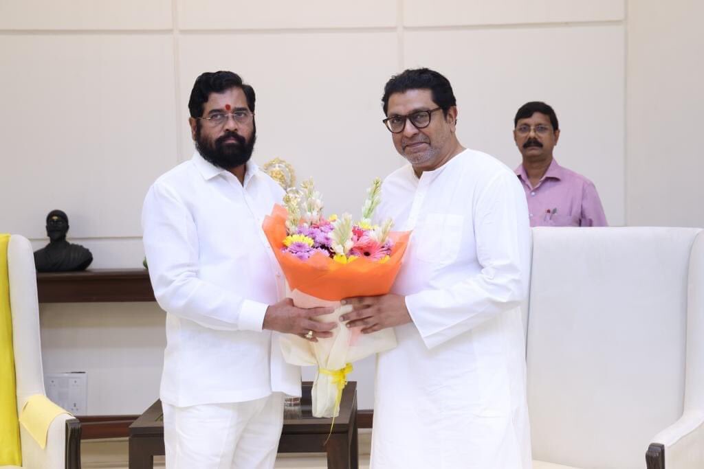 Stop recovery of Nashik farmers’ loans, Raj Thackeray urges CM