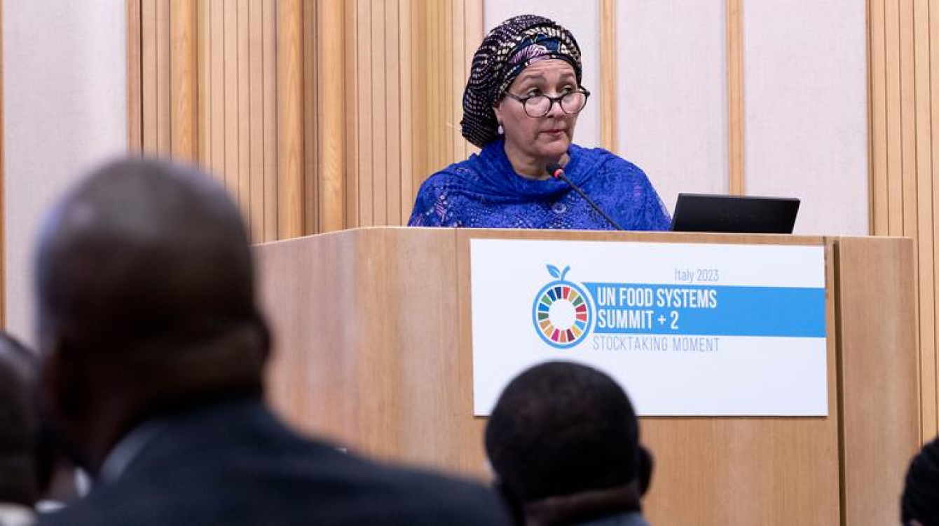 FAO reiterates commitment to accelerate pace of transforming agrifood systems FAO reiterates commitment to accelerate pace of transforming agrifood systems