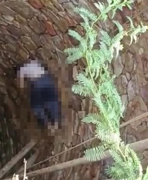 Rajasthan: Dalit girl found dead in well; BJP MP claims rape-murder