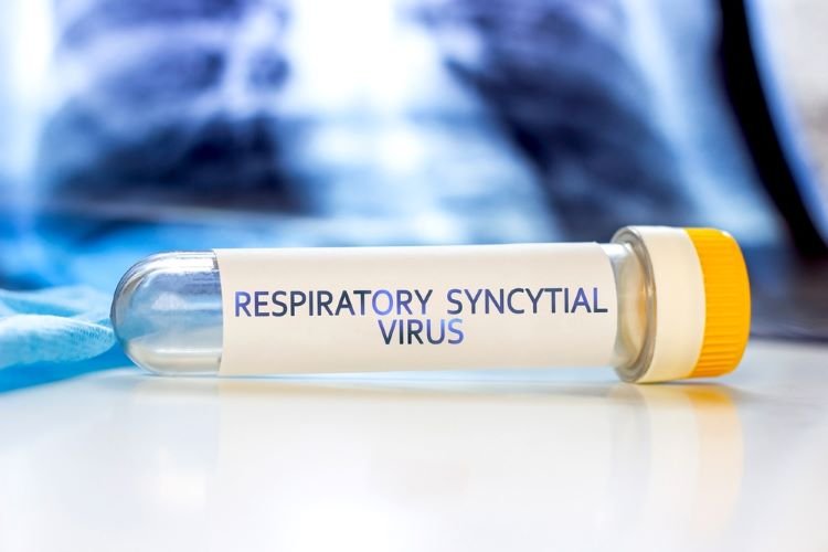 RSV vax market estimated to surpass  billion by 2029: Report
