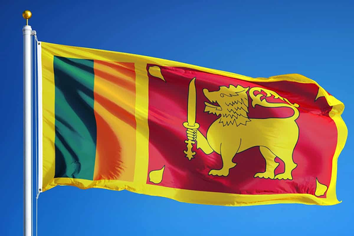 Sri Lanka’s domestic debt optimisation programme passed in parliament