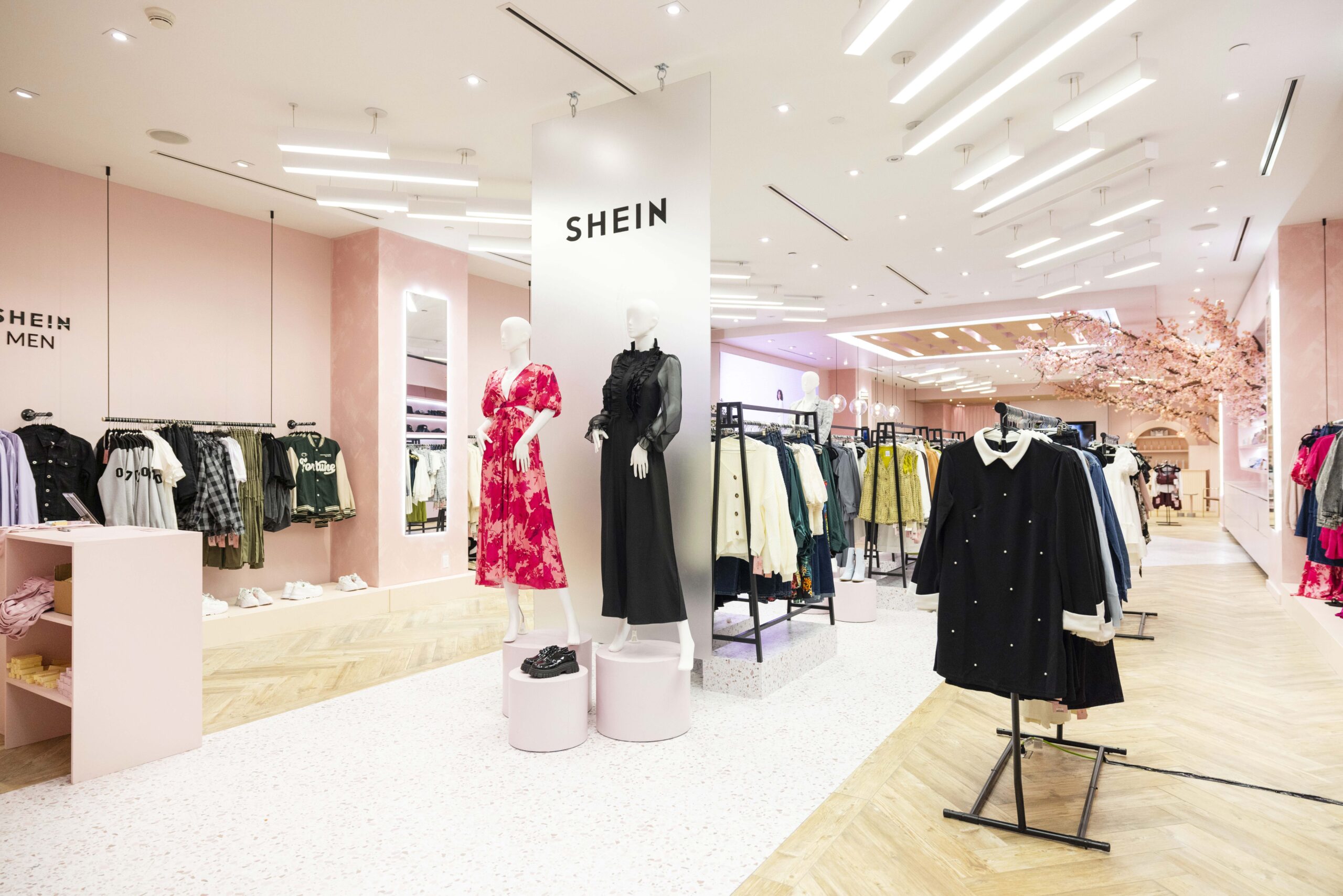 3 US designers sue Chinese fashion giant Shein over copying their creative work 3 US designers sue Chinese fashion giant Shein over copying their creative work