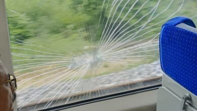 Vande Bharat mows down goats, owners pelt stones at train