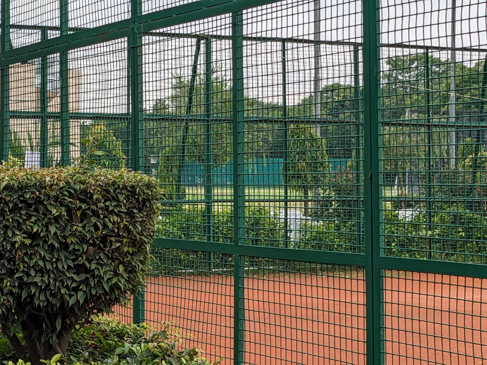 Preservation of Natural Grass at Siri Fort Sports Complex: A battle of balancing modernisation and environmental conservation