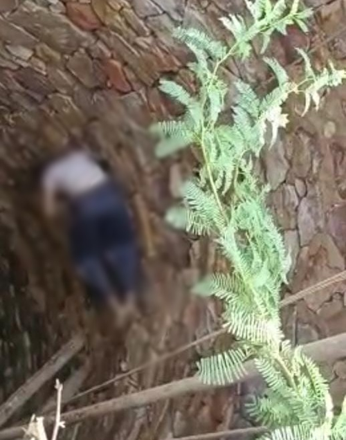 BJP’s Rajasthan in-charge to meet family of Dalit woman found dead in well BJP’s Rajasthan in-charge to meet family of Dalit woman found dead in well