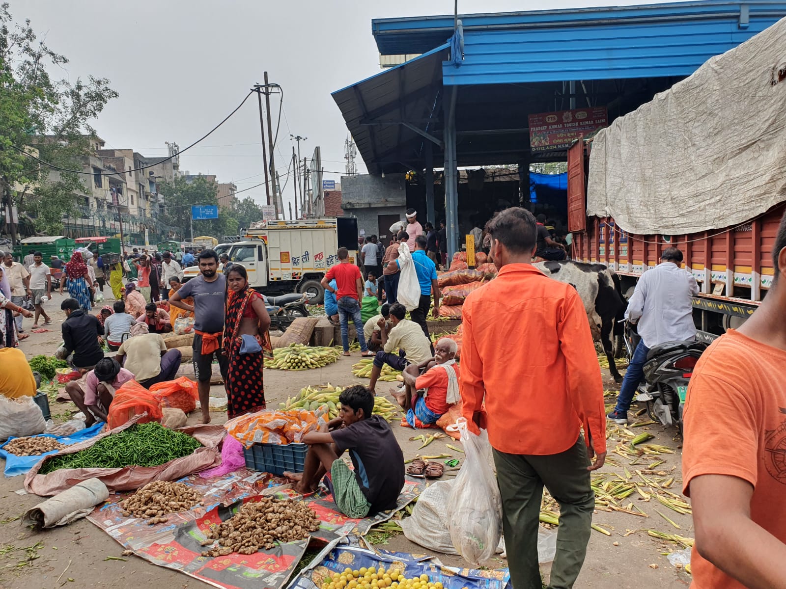 Late deliveries, rotten products plague fruit & vegetable markets in Delhi Late deliveries, rotten products plague fruit & vegetable markets in Delhi