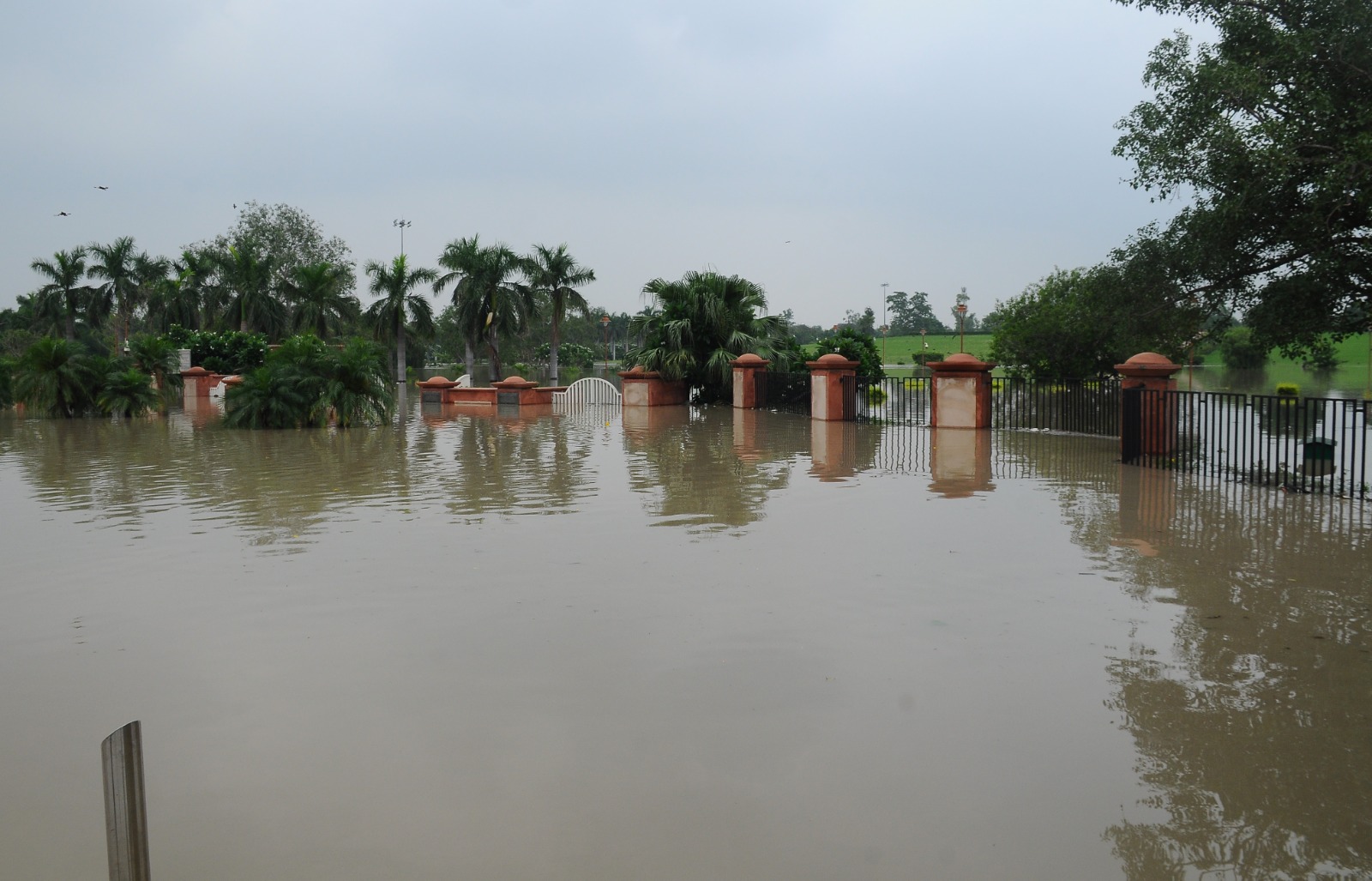 Three children drown in rainwater-filled ditch in Delhi