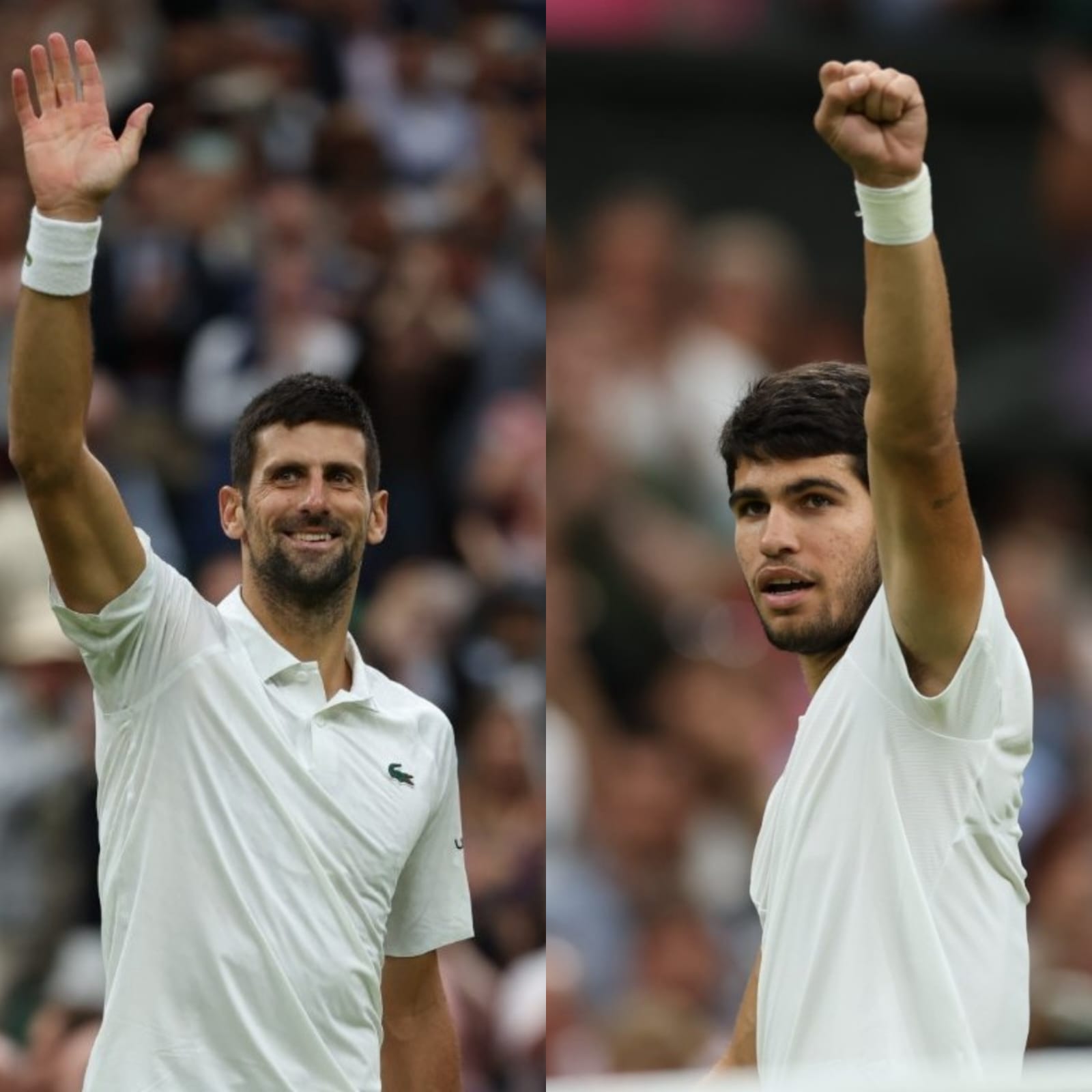 Alcaraz, Djokovic vie for World No. 1 in Wimbledon final
