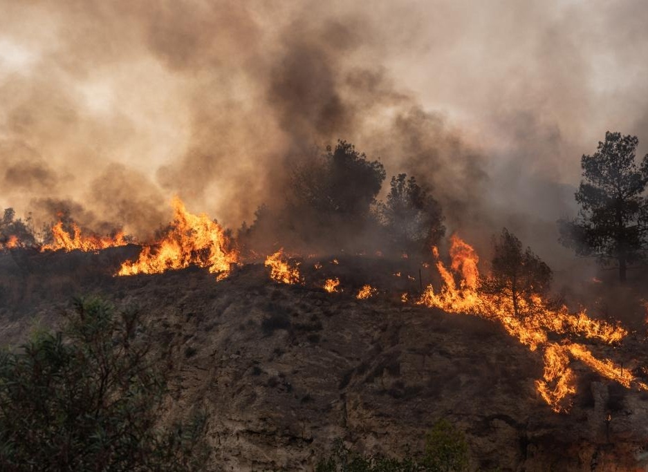 Portugal records less rural fires in 2023 Portugal records less rural fires in 2023