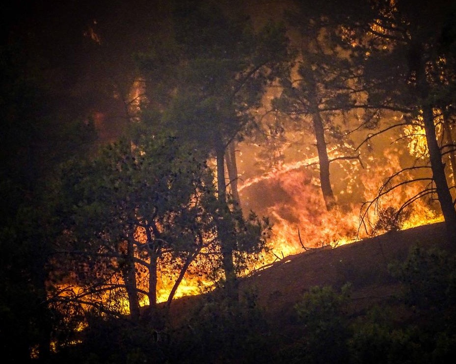 Greek govt pledges support to fire-affected areas Greek govt pledges support to fire-affected areas