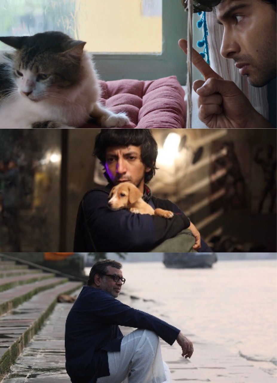 ‘Max, Min & Meowzaki’, ‘Lakadbaggha’ get Stuttgart Indian film fest top awards (Lead)