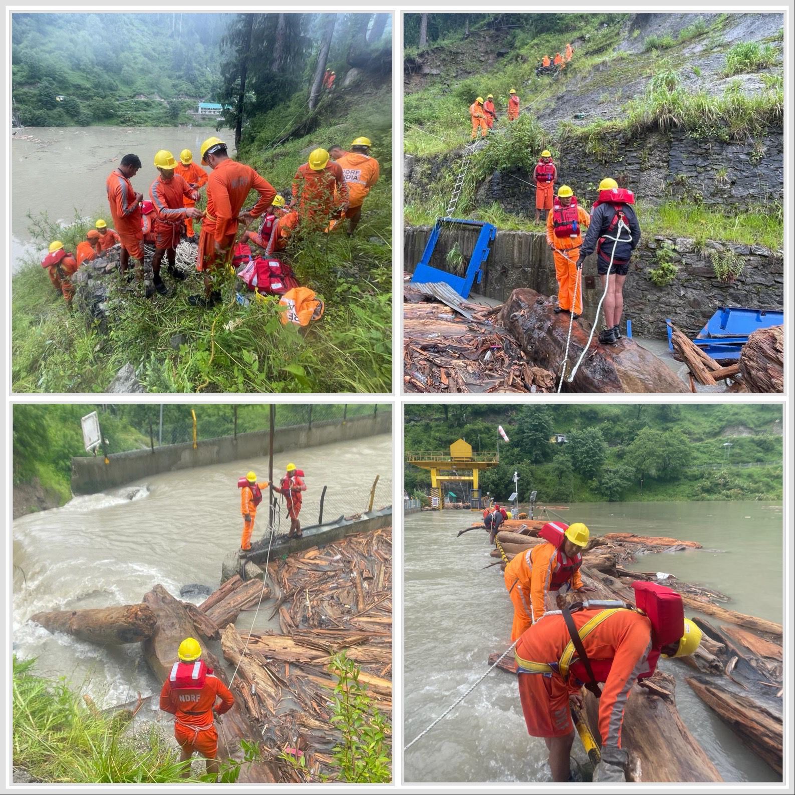 Unusually large logs floating in Himachal’s flooded rivers pose a threat