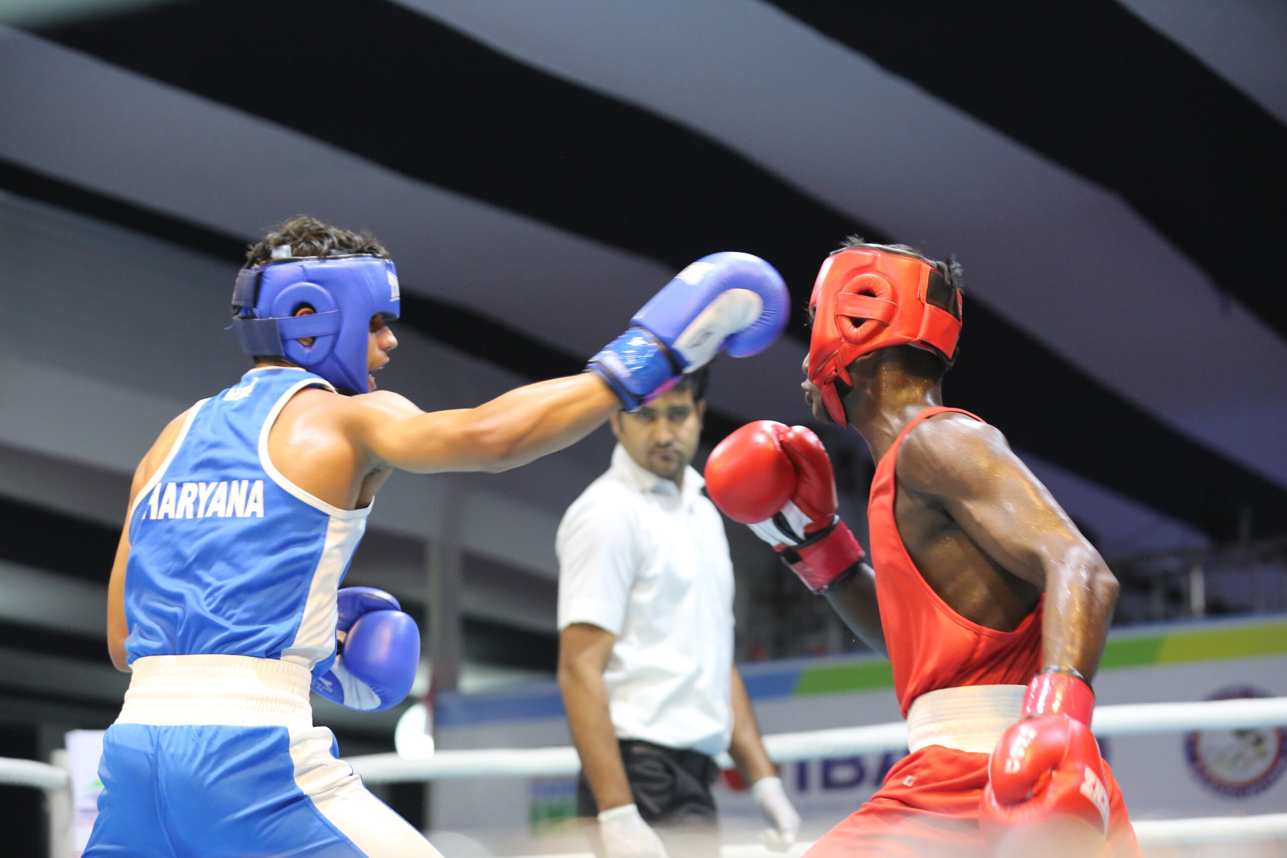 Junior Boys National Boxing C’ships: Haryana, SSCB Boxers dominate to reach semifinals