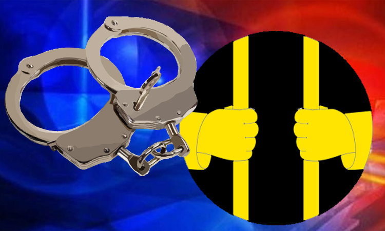 Goa: Two arrested for forcing girls in prostitution trade Goa: Two arrested for forcing girls in prostitution trade