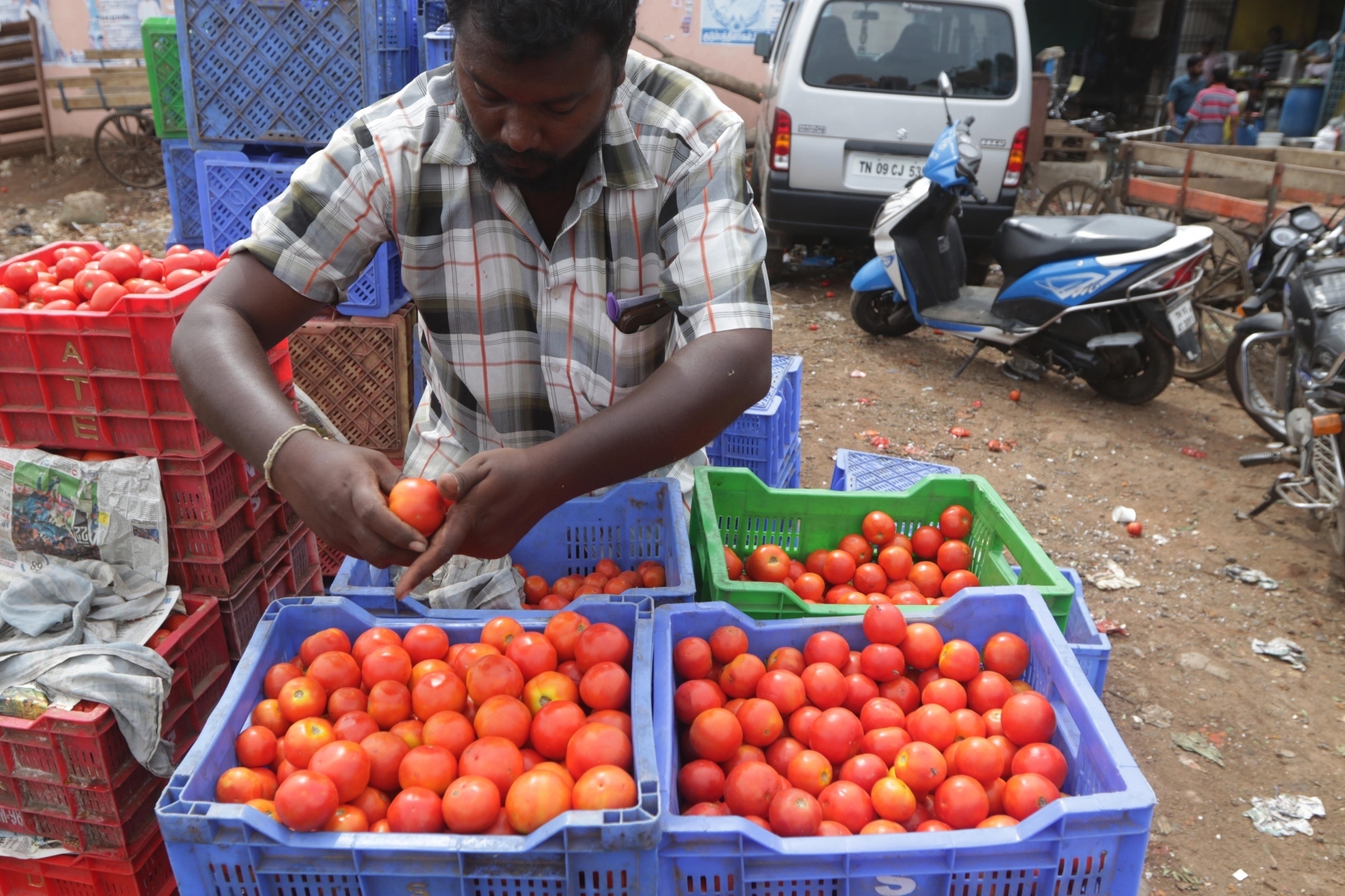 TN Agri Dept plans special drive to boost vegetable production TN Agri Dept plans special drive to boost vegetable production