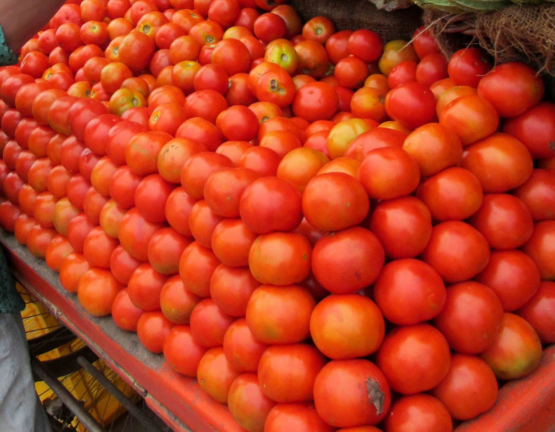 Vegetable vendor, son arrested for ‘bouncer show’ while selling tomatoes
