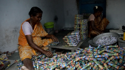 TN revenue dept for regular inspections in firecracker shops, godowns TN revenue dept for regular inspections in firecracker shops, godowns