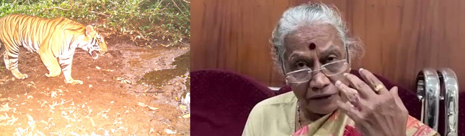 Denial of tiger reserve to Goa another nail in Mhadei’s coffin: Experts Denial of tiger reserve to Goa another nail in Mhadei’s coffin: Experts