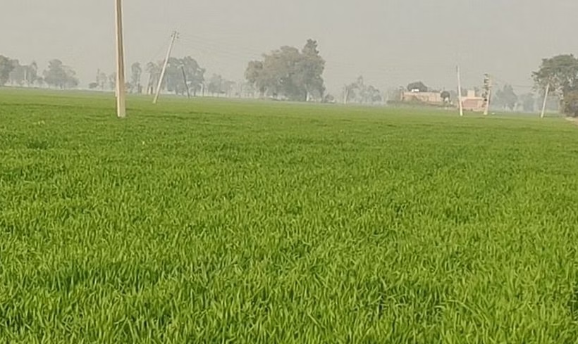 Mukhya Mantri Khet scheme to be implemented in whole of UP