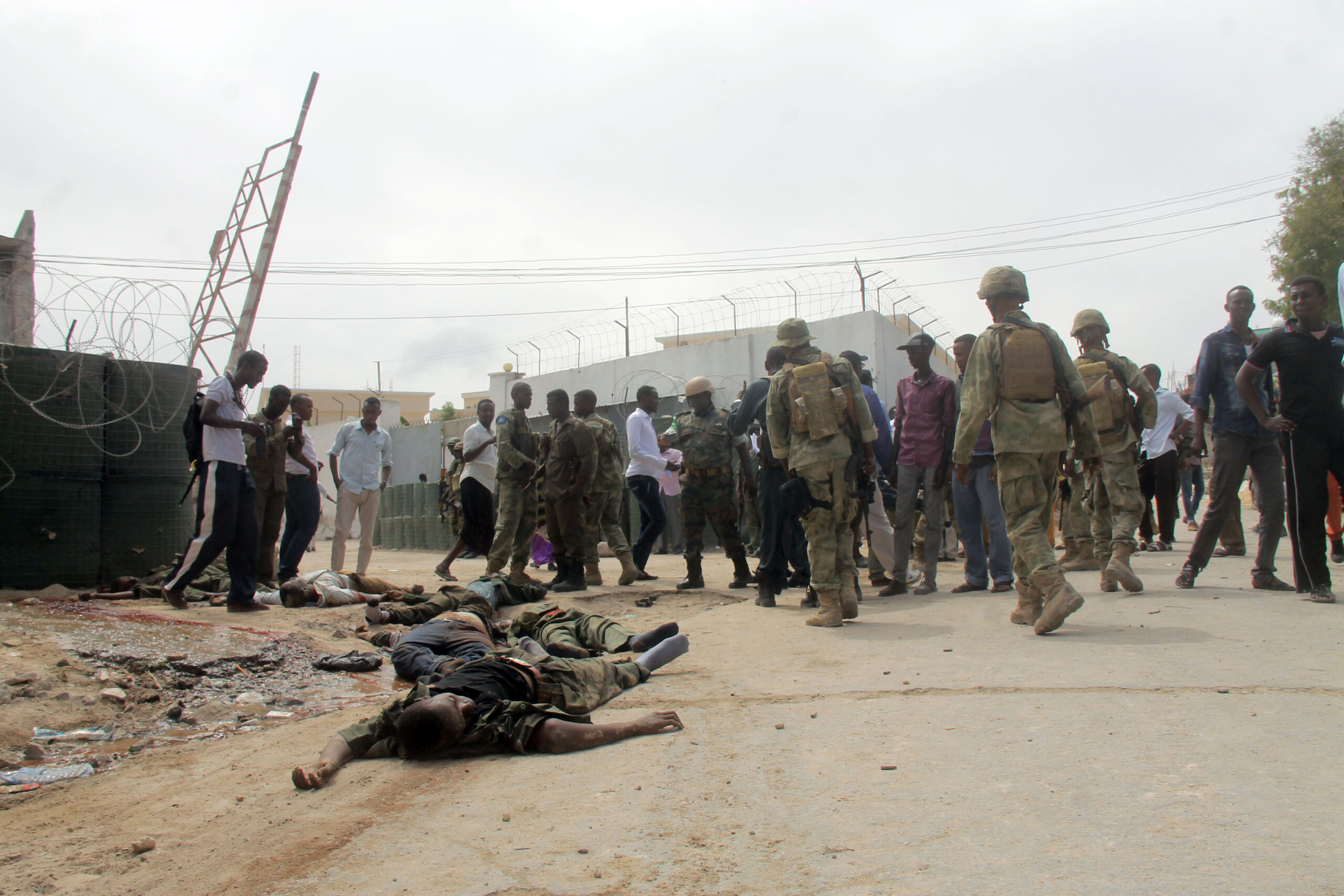 Somali forces kill 30 al-Shabaab militants in Somalia