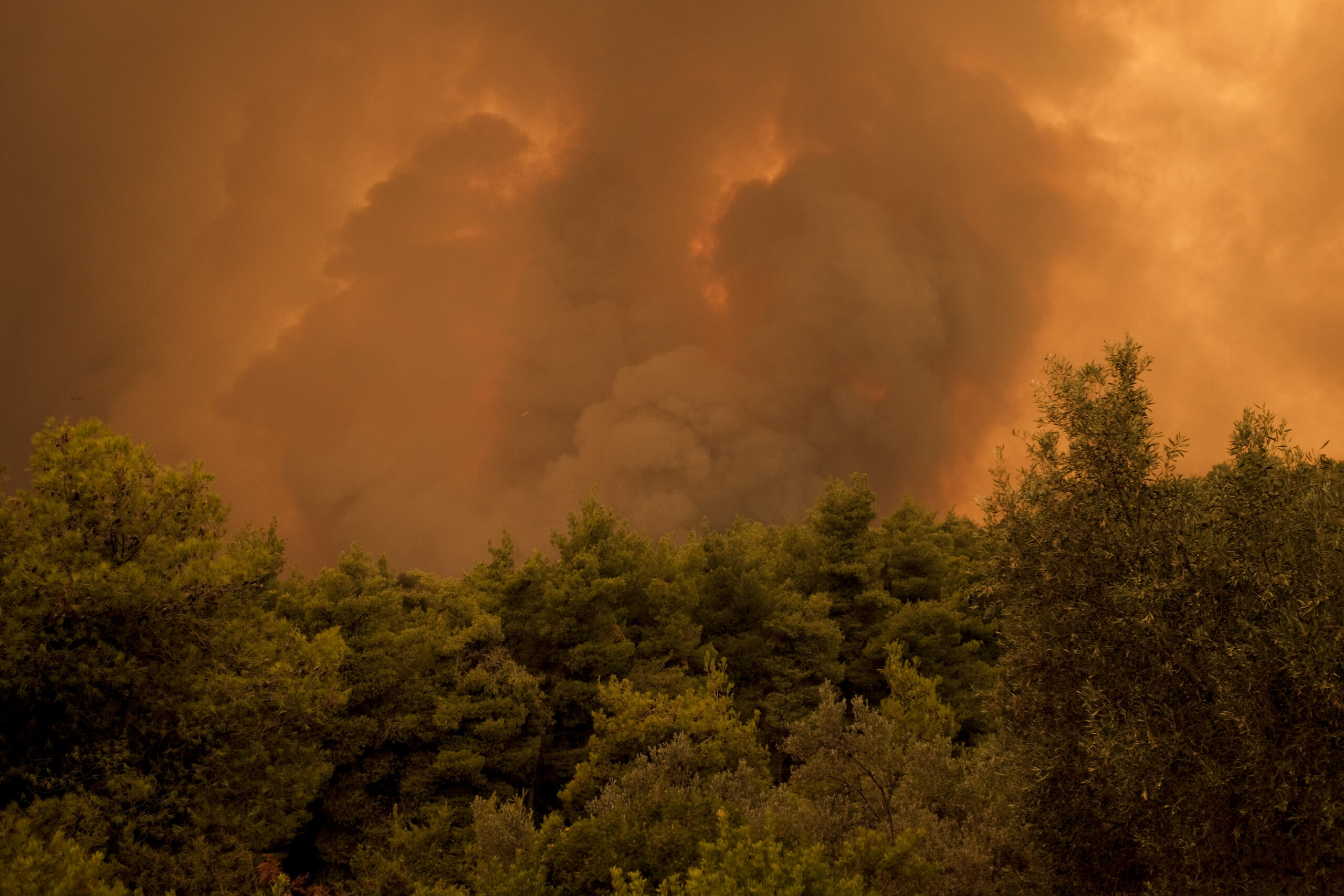 Wildfires in Greece force evacuation of 1,200 kids from summer camp Wildfires in Greece force evacuation of 1,200 kids from summer camp