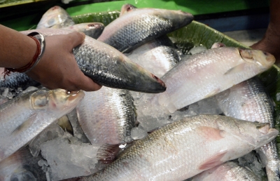 Mobile app launched for fish farmers by NBFGR in UP