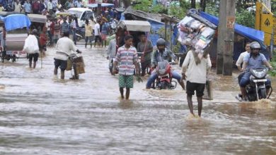 Crops sown in 53,000 hectares destroyed due to recent floods in Haridwar: Agriculture Minister Ganesh Joshi