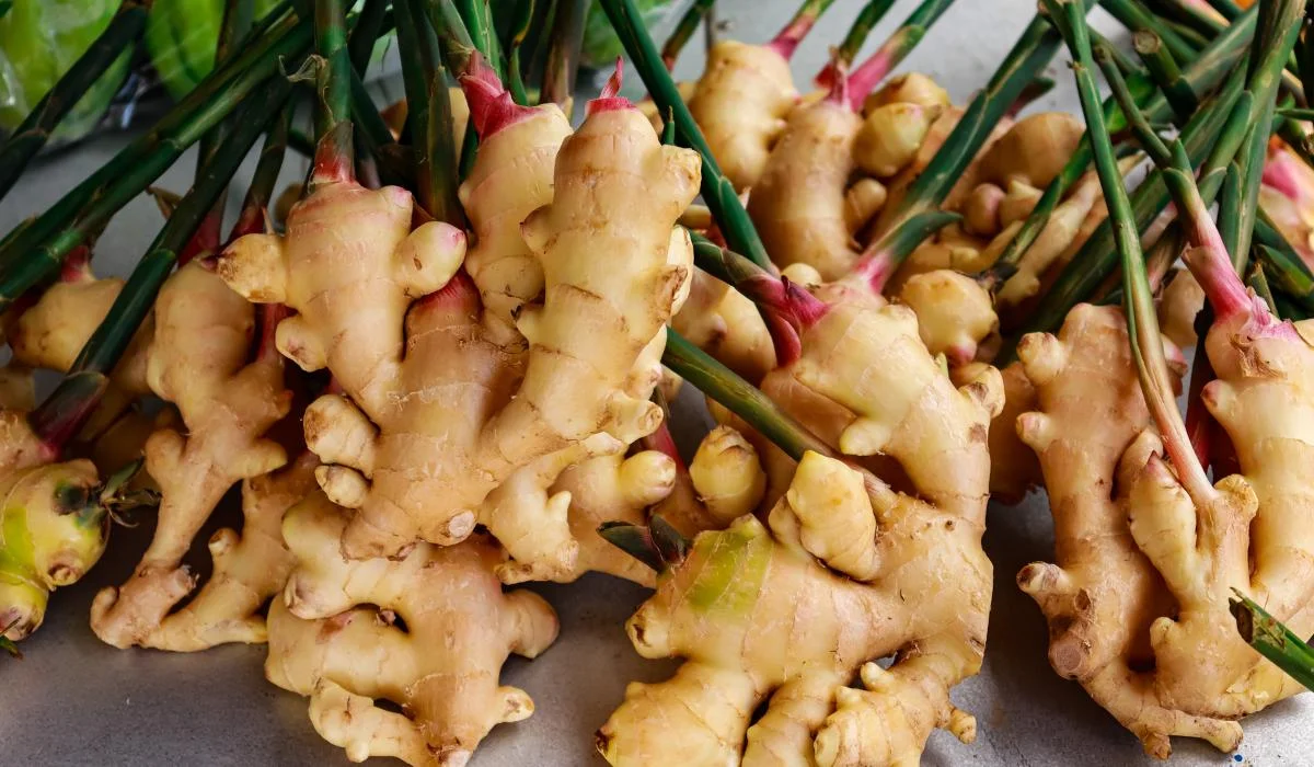 Chilli and ginger prices skyrocket in Kolkata markets in first Sunday of July