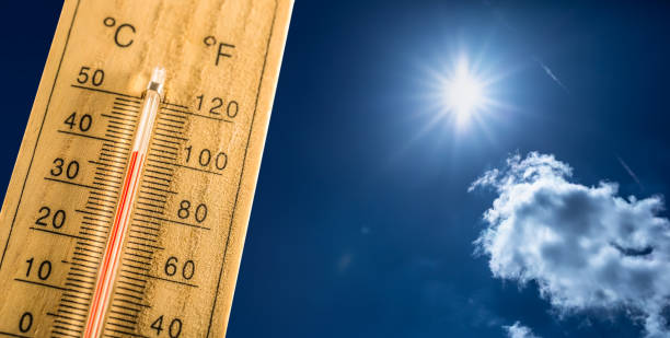 More than 60,000 people  died in Europe in 2022 due to severe heat wave.