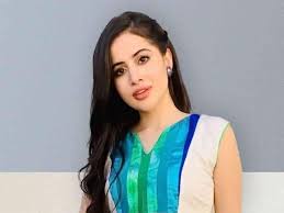 Urfi Javed: Drunk people harassed Urfi, she said in anger – I am a public figure, not a property