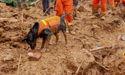 China landslide: 5 rescued, 9 still missing