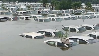 350 cars submerged in the dumping yard due to floods in the Hindon river, water entered many colonies, people were brought to a safe place