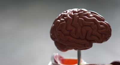 Parkinson’s disease can quietly progress undetected for years: Study