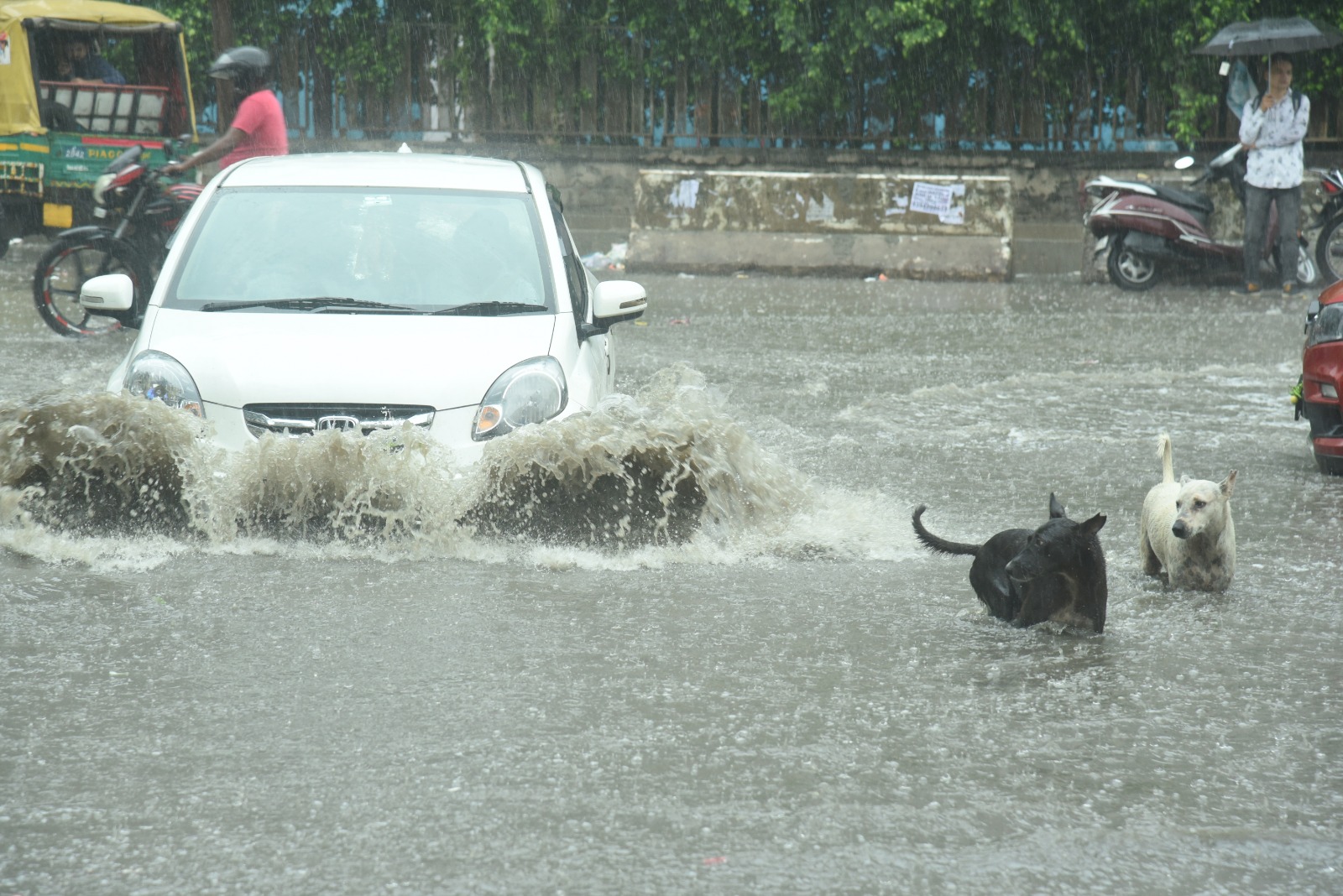Rain Fury: 15 houses collapse in Delhi; woman buried under debris Rain Fury: 15 houses collapse in Delhi; woman buried under debris