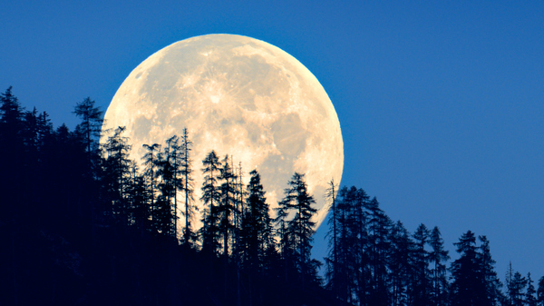 Supermoons and blue moon to light up August skies Supermoons and blue moon to light up August skies