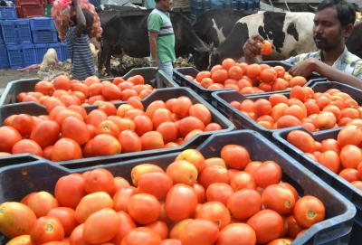 UP Mandi Parishad selling tomatoes at Rs 75 per kg UP Mandi Parishad selling tomatoes at Rs 75 per kg